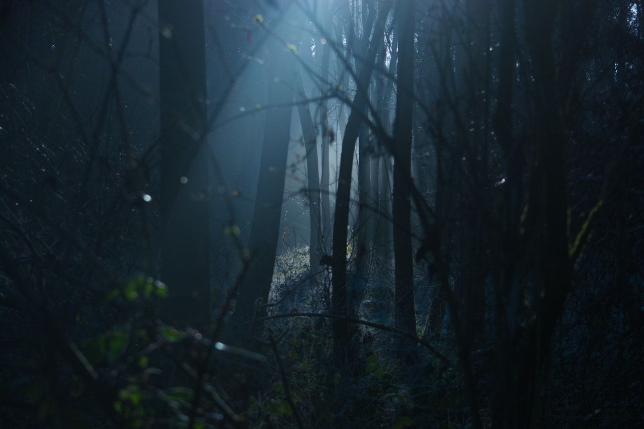 backlit-dark-dawn-environment